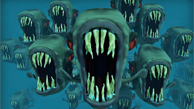 插图的可怕的大牙齿一起游泳的鱼。